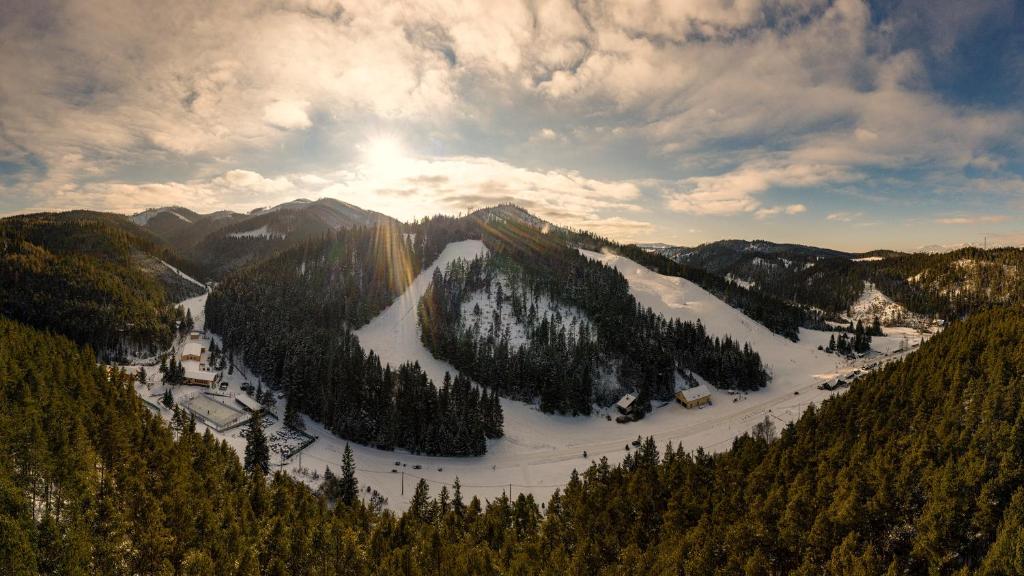 pokryta śniegiem góra z drzewami i stok narciarski w obiekcie Lopušná dolina Resort w Wysokich Tatrych