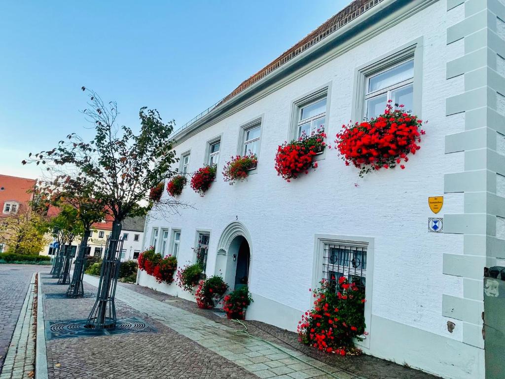 un edificio blanco con flores rojas a su lado en Apartments Oschatz, en Oschatz