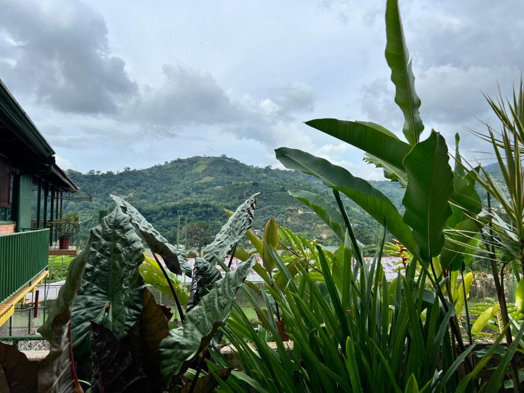 Vista general de una montaña o vista desde el hotel