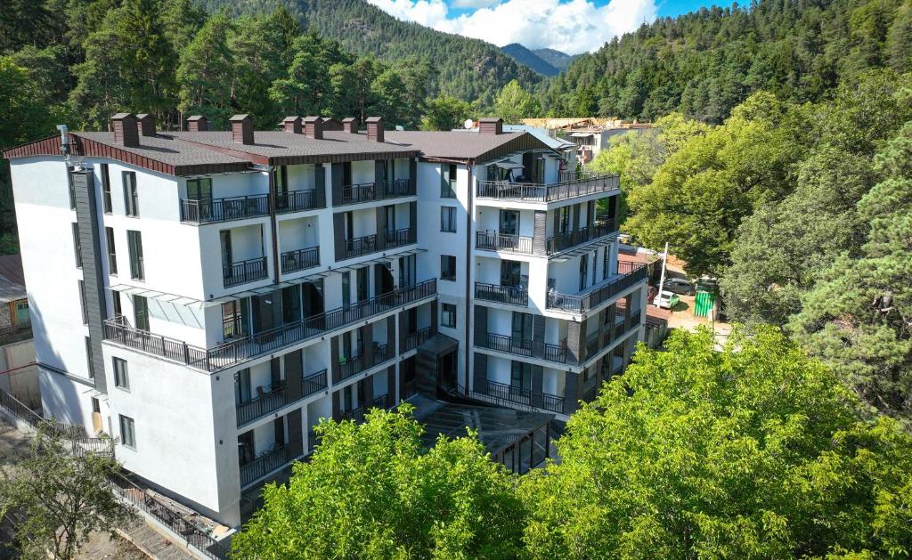 - une vue aérienne sur un bâtiment dans les montagnes dans l'établissement Eikon Apartments Abastumani, à Abastumani