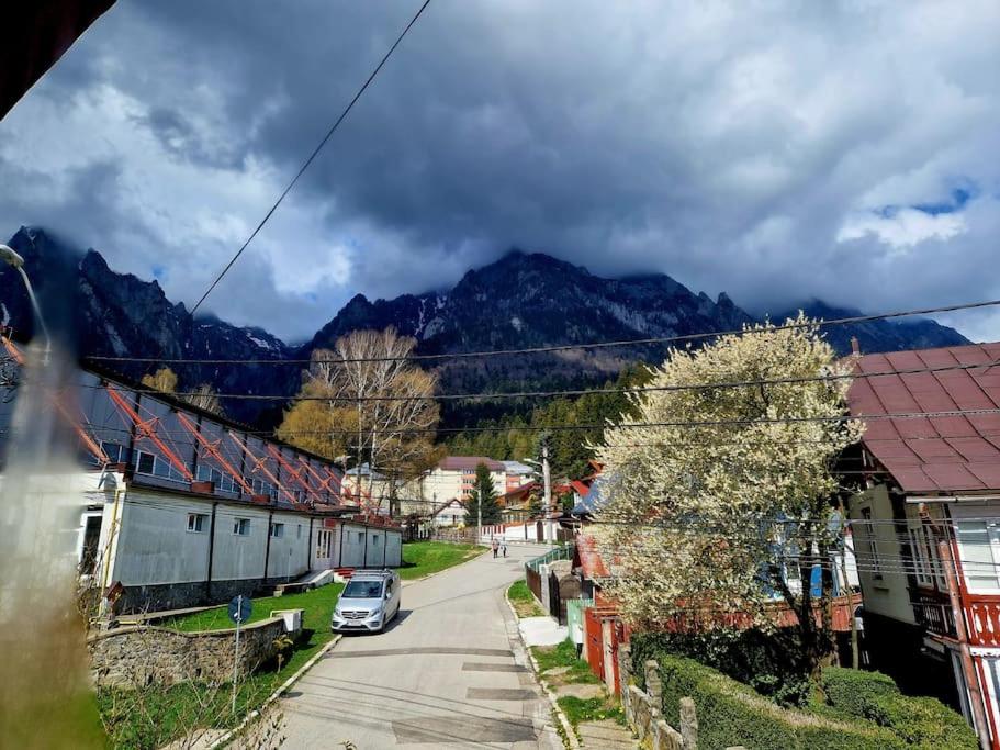 Pogled na planinu ili pogled na planinu iz vikendice