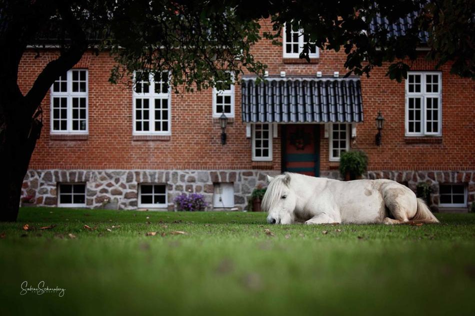 Rødekro şehrindeki Søstgård B&B tesisine ait fotoğraf galerisinden bir görsel