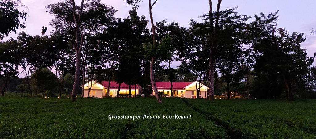 uma casa no meio de um campo com árvores em Grasshopper Acacia Eco Resort em Mādāri Hāt