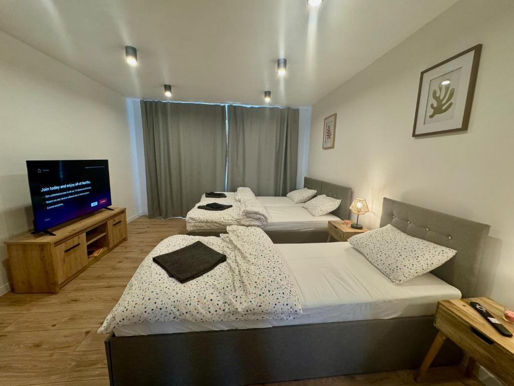 - une chambre avec 2 lits et une télévision dans l'établissement Apartmán Strážske s balkónom, à Michalovce