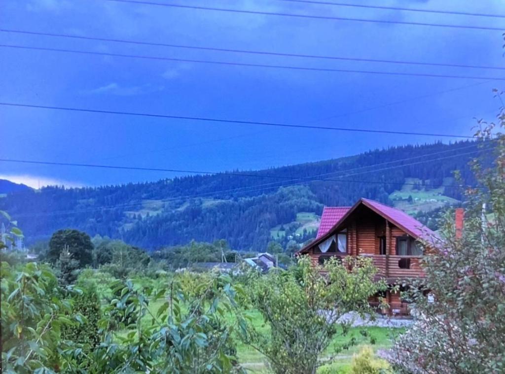 una piccola casa in legno in mezzo a una foresta di Садиба Карпат a Verkhovyna