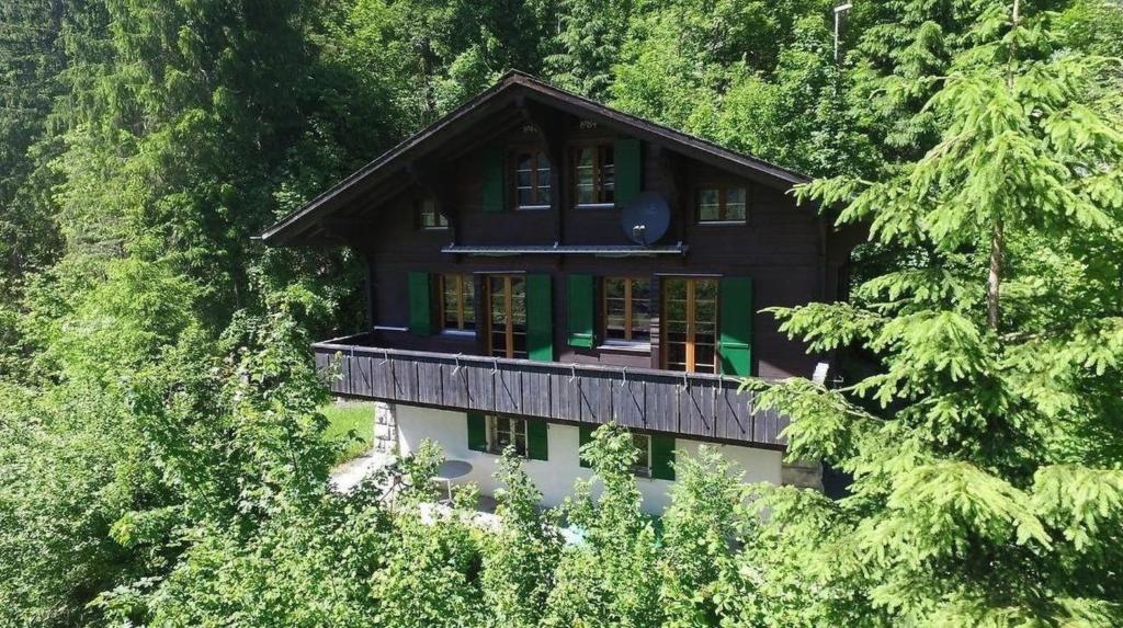 ein Haus inmitten der Bäume in der Unterkunft Chalet Tannegüetli in Grindelwald