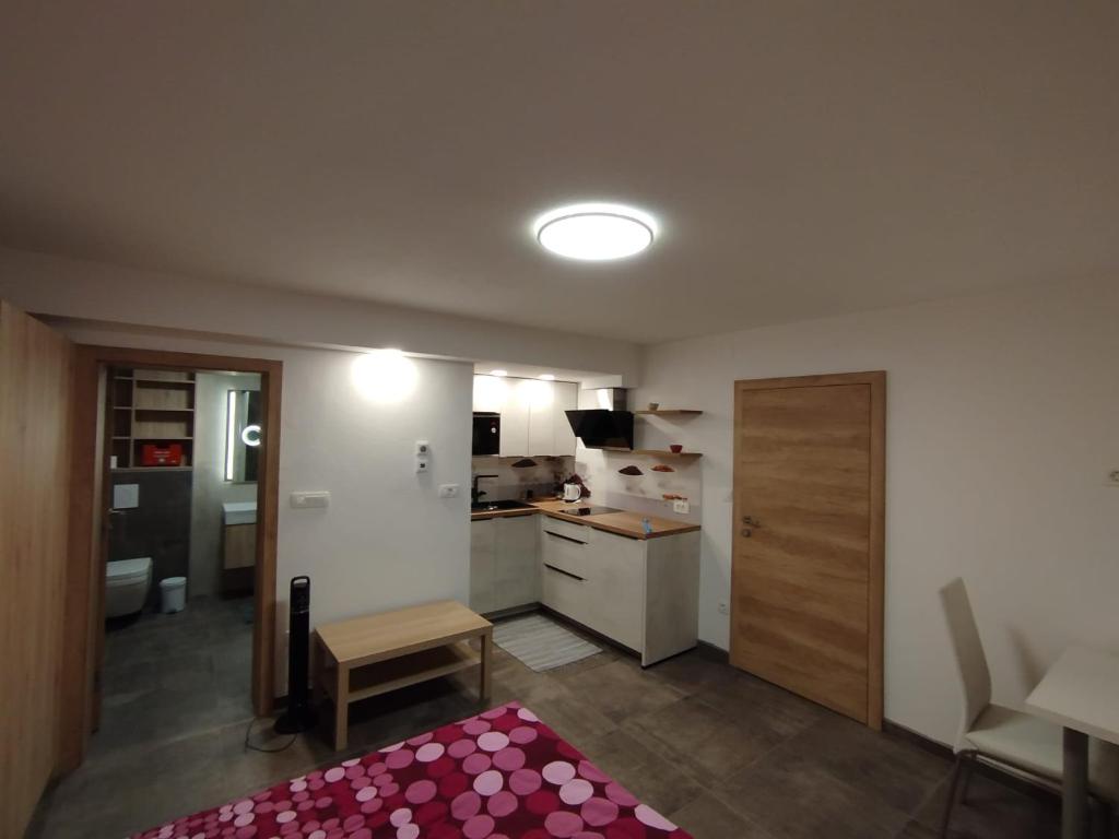 Ce petit appartement comprend une cuisine et une chambre. dans l'établissement Apartma Mamut 1850, à Kamnik