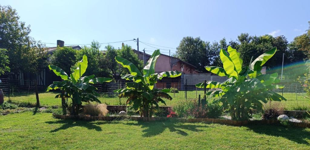 En trädgård utanför Charmante petite maison à la campagne