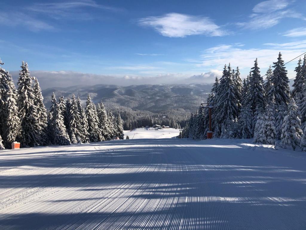 une route enneigée avec des arbres et des montagnes en arrière-plan dans l'établissement STENATA Sport Apartments, à Pamporovo