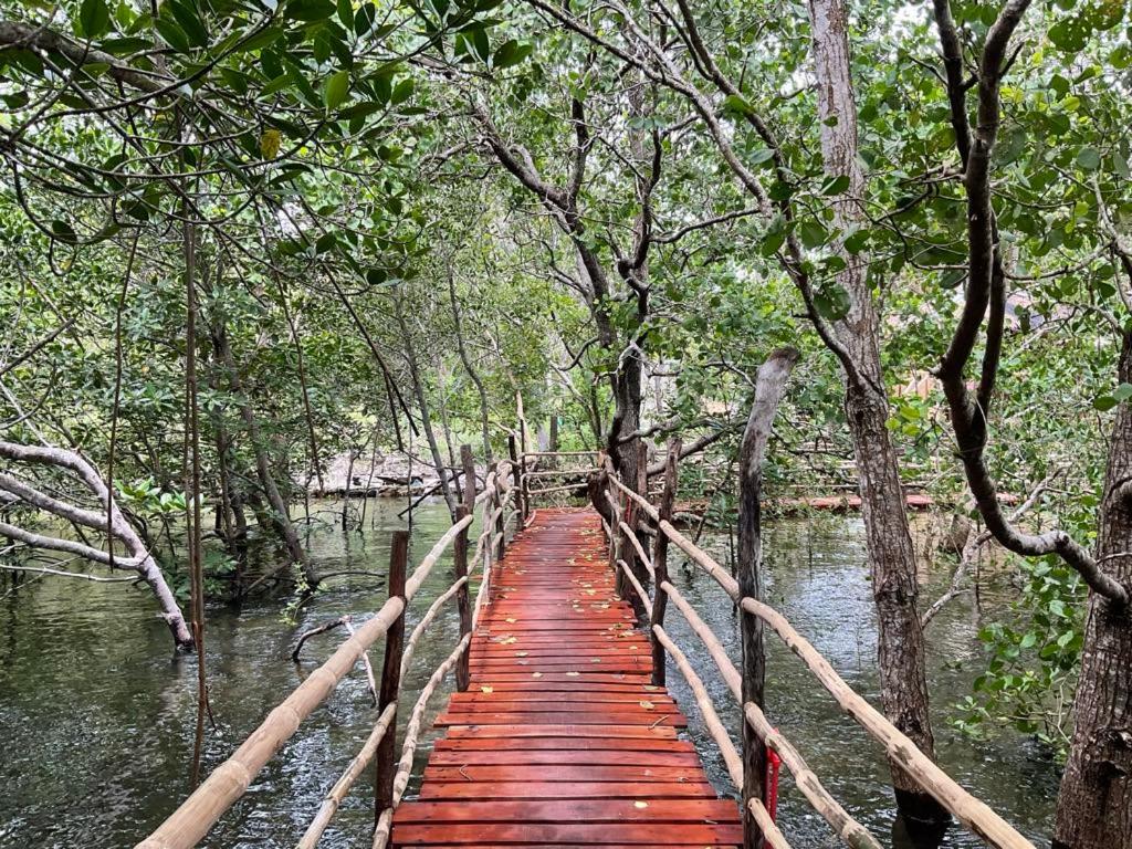 uma ponte de madeira no meio de um rio com árvores em Kerusso Haven em Puerto Princesa