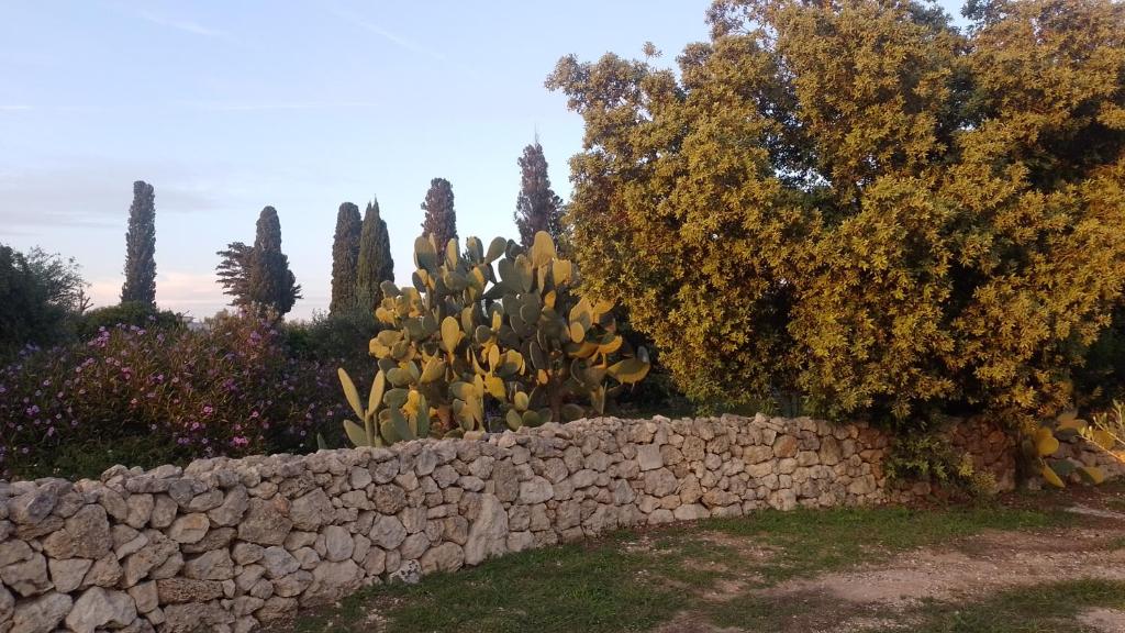 un mur de retenue en pierre avec des arbres et un cactus dans l'établissement Agriturismo Villa Coluccia, à Martano