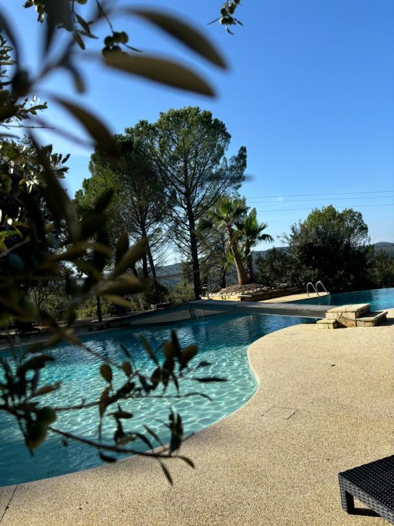 eine Gruppe von Vögeln, die um einen Pool fliegen in der Unterkunft Hôtel restaurant Clos des Sullys in Montclus