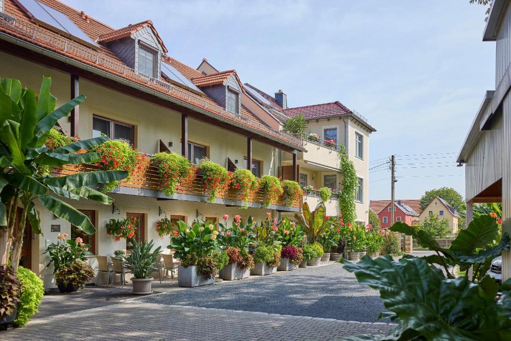 una fila de macetas al lado de un edificio en Hotel garni Sonnenhof, en Reichenberg