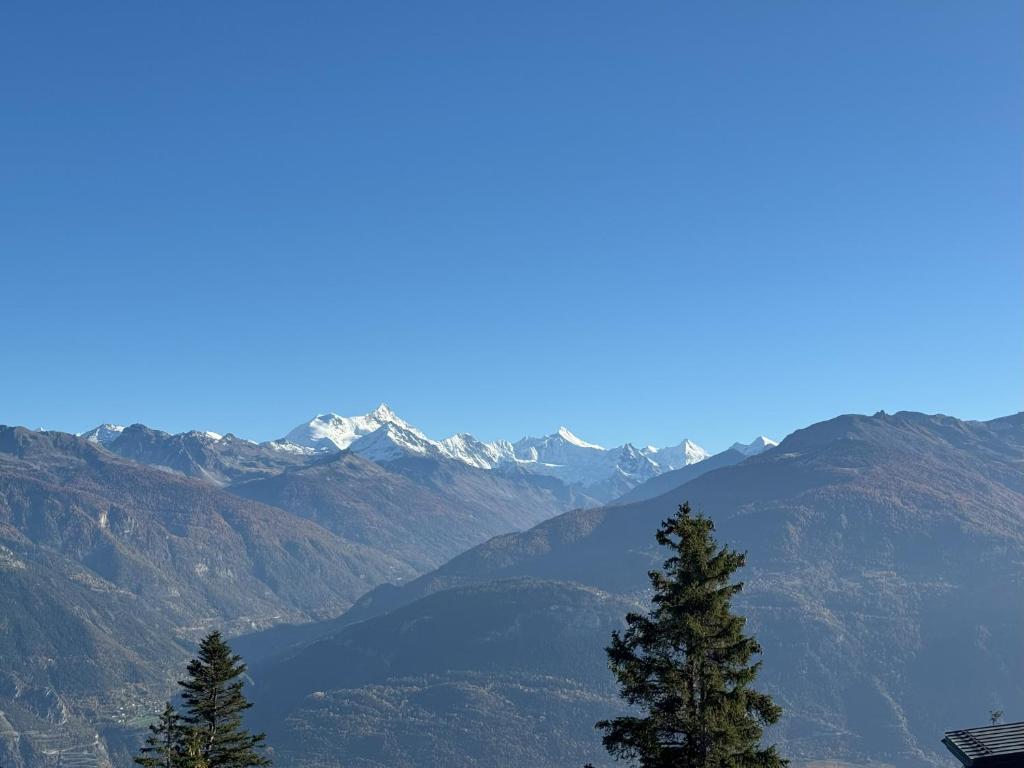 vistas a una cordillera con 2 pinos en Crans Montana Suites, en Crans-Montana