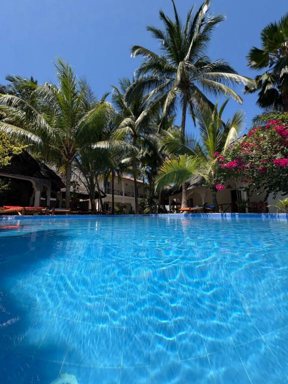 Swimmingpoolen hos eller tæt på African Bungalows