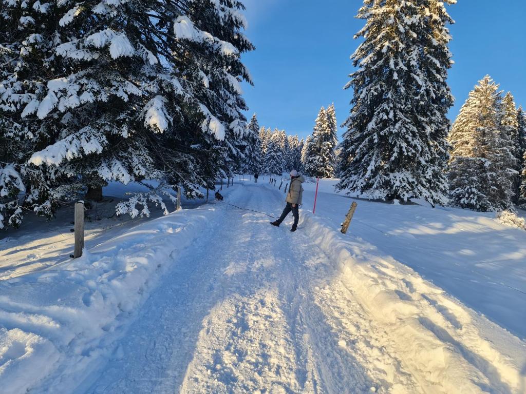 une personne faisant du ski de fond sur une route enneigée dans l'établissement Mont Blanc Chalet, à Grandevent