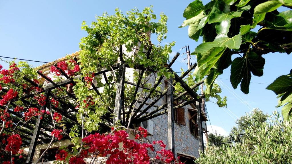 una pérgola de madera con flores rojas frente a un edificio en Papanestoras Apartments, en Kardhamili