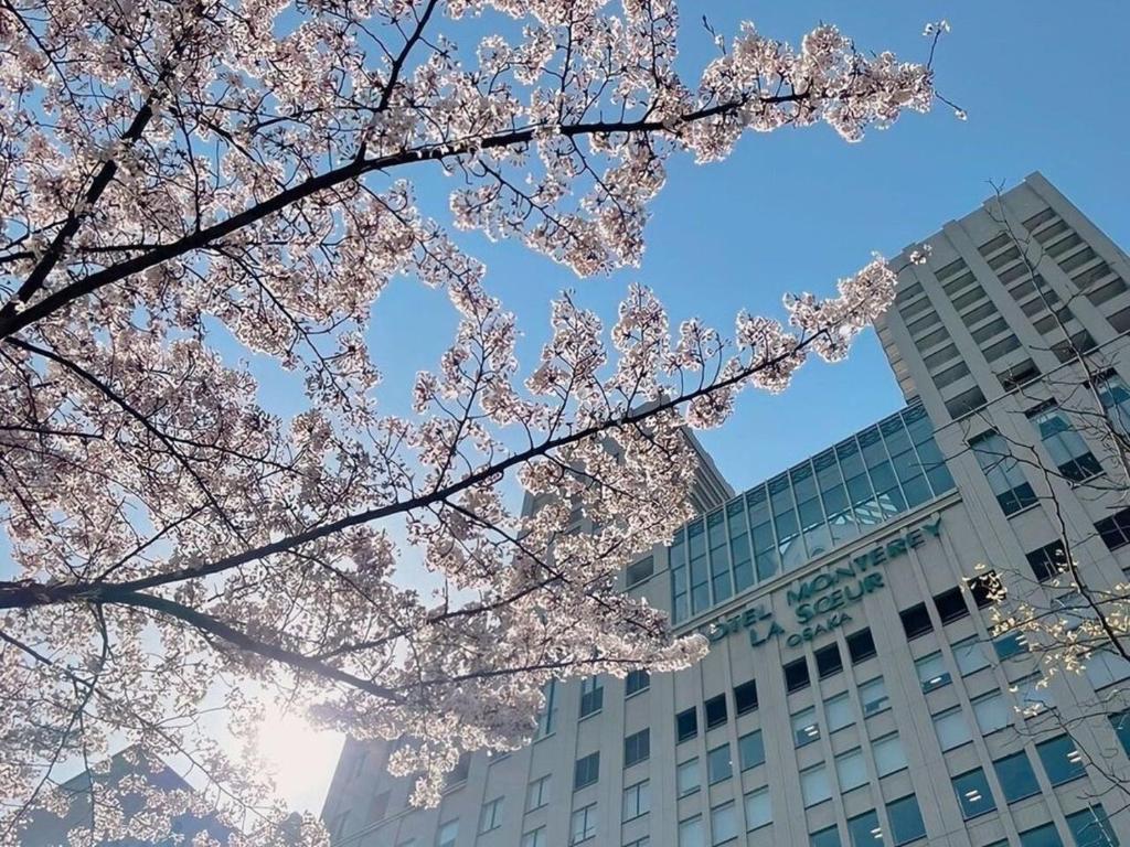 een boom met roze bloesems voor een gebouw bij Hotel Monterey La Soeur Osaka in Osaka