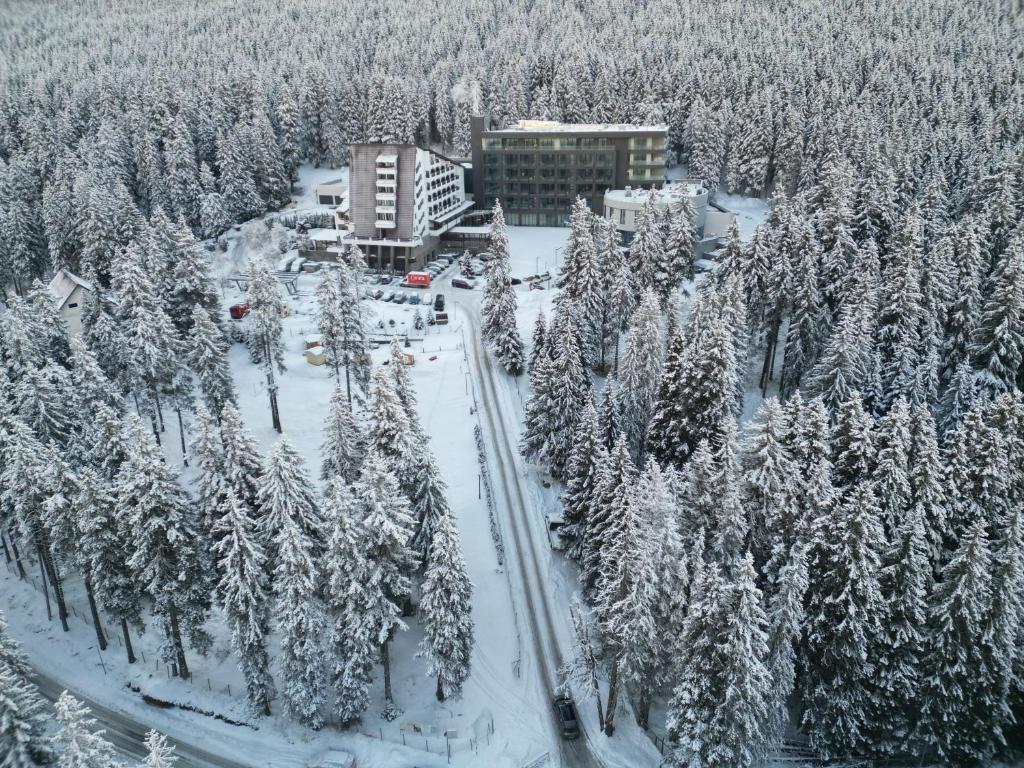 z góry widok na ośrodek narciarski z pokrytymi śniegiem drzewami w obiekcie Hotel Pestera Wellness & Spa w mieście Sinaia