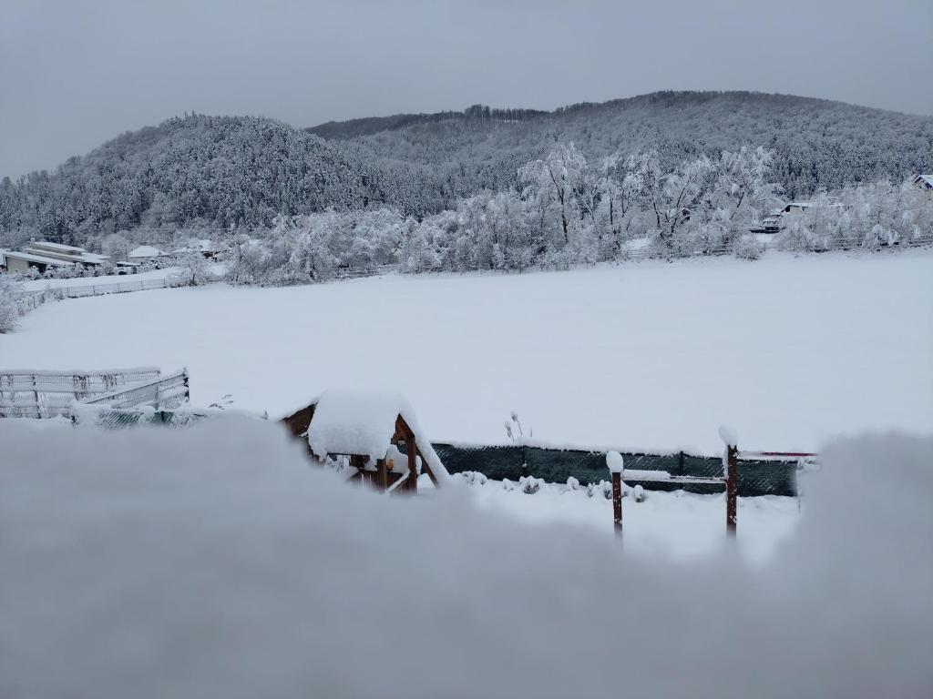 um campo coberto de neve com uma montanha ao fundo em DOM HILLS Bucovina em Gura Humorului