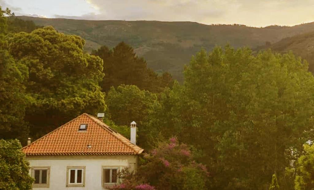 Casa das Essências, Quinta de Santo António في كوفيلها: بيت ابيض بسقف احمر واشجار