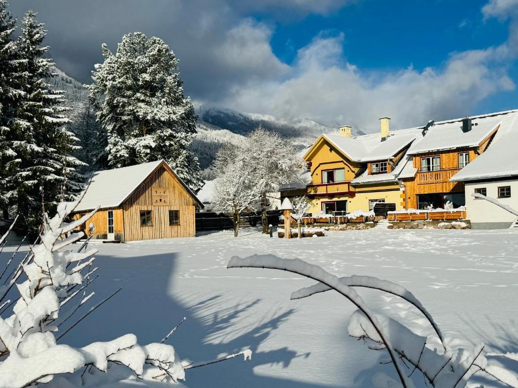 Heimathaus Dengg - Ferienwohnungen - Abenteuer und Erholung in den Bergen a l'hivern