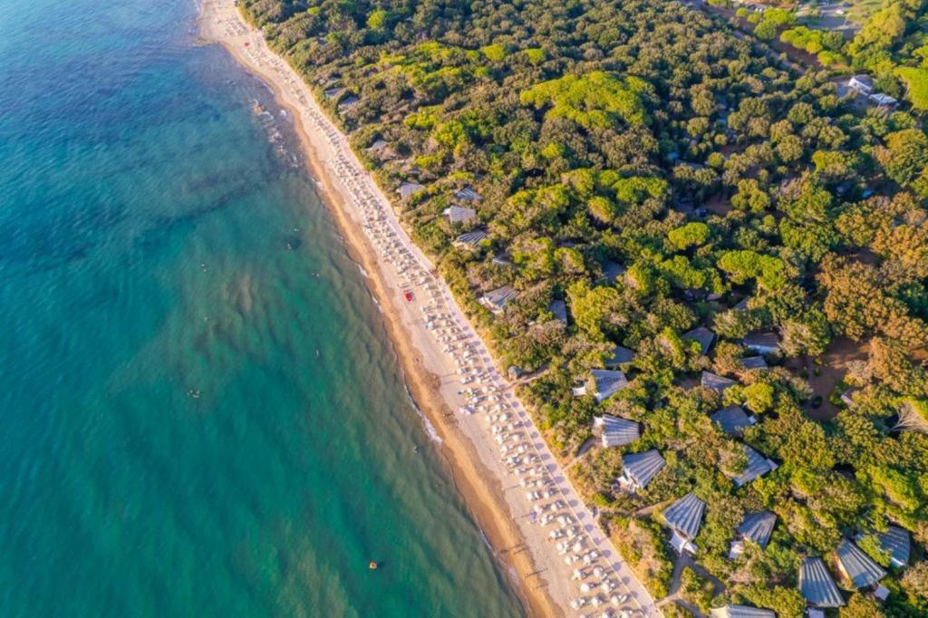 サン·ヴィンチェンツォにあるHotel Riva degli Etruschiの木々と海の海岸の空中風景