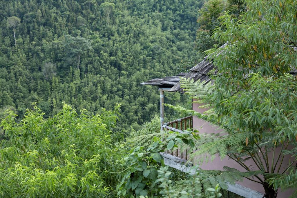 ภูมิทัศน์ธรรมชาติใกล้โรงแรม