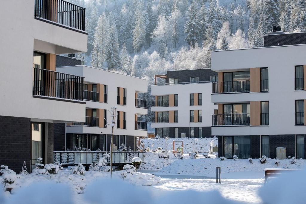 VISLOW Resort iarna