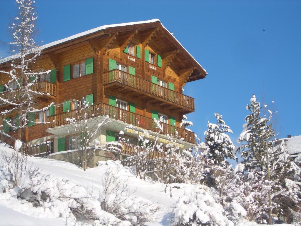 Chalet Kolibri in de winter