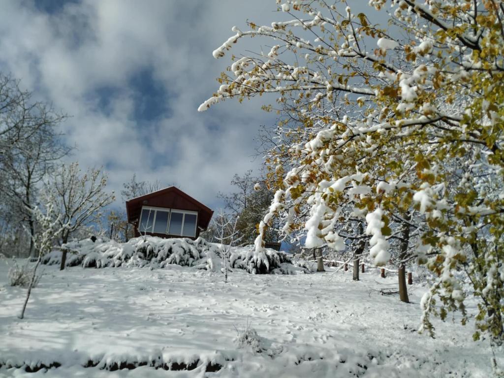 une maison recouverte de neige devant un arbre dans l'établissement Holiday home Nanin konak 2, à Vrdnik