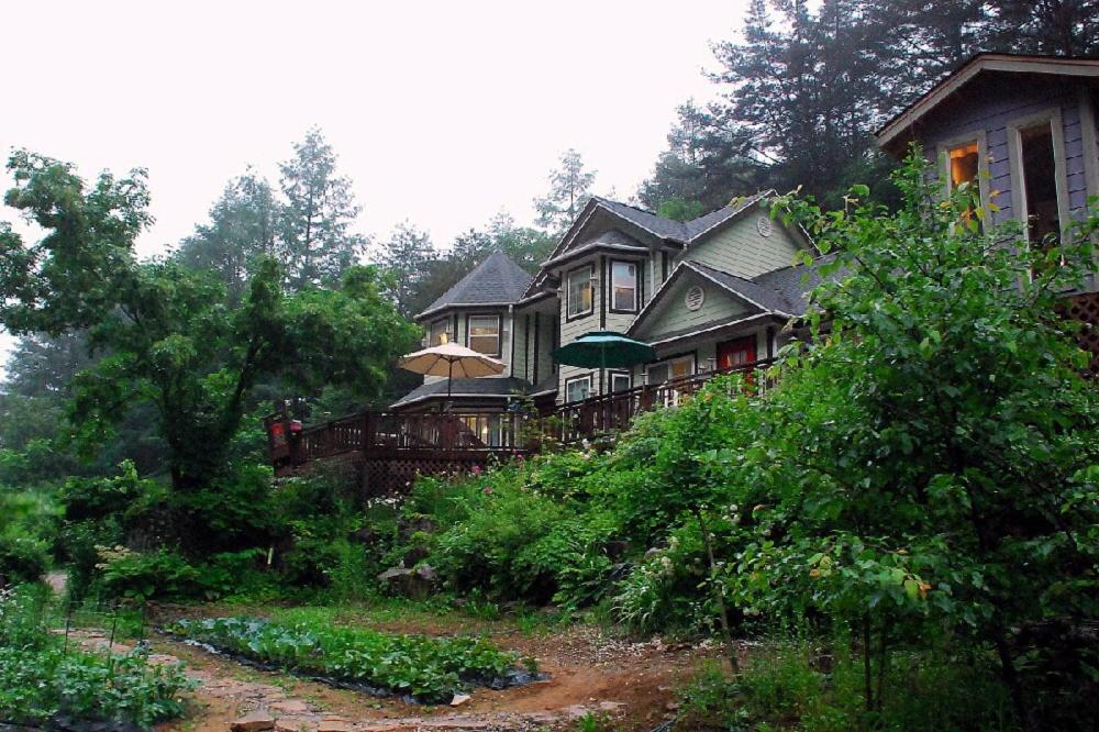 una grande casa su una collina nel bosco di Fermata Pension a Pyeongchang