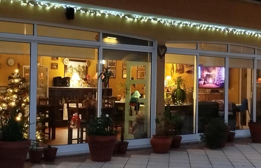 uma frente de loja com janelas e vasos de plantas em A Casa da Ti Laura - AL em Aveiro