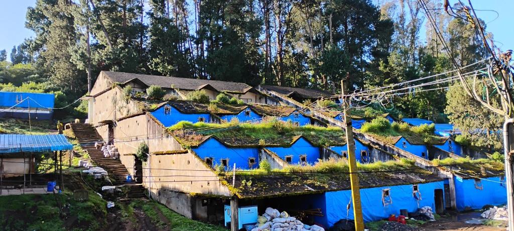 ein blaues Gebäude mit Pflanzen oben drauf in der Unterkunft Kmt green house ooty in Udagamandalam