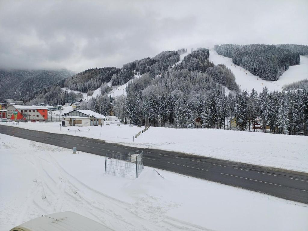 斯坦豪斯阿赛姆瑞Appartements Dorner的山旁的一条雪覆盖的道路