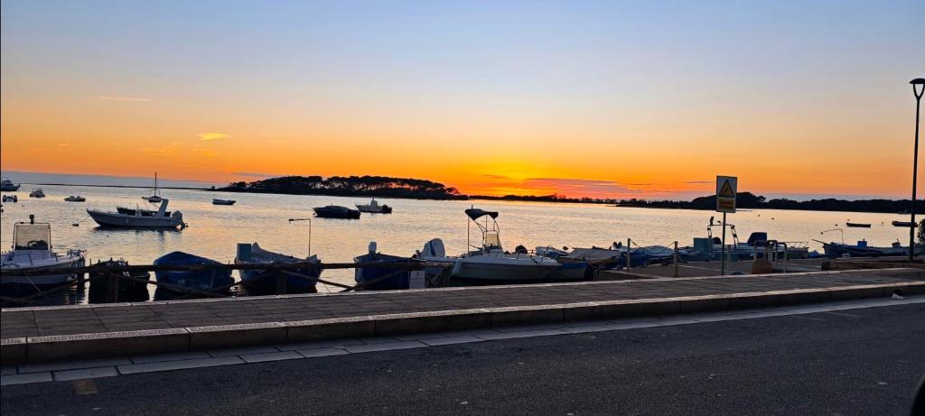 a group of boats docked at a marina at sunset at Silvia Casa Vacanze in Porto Cesareo