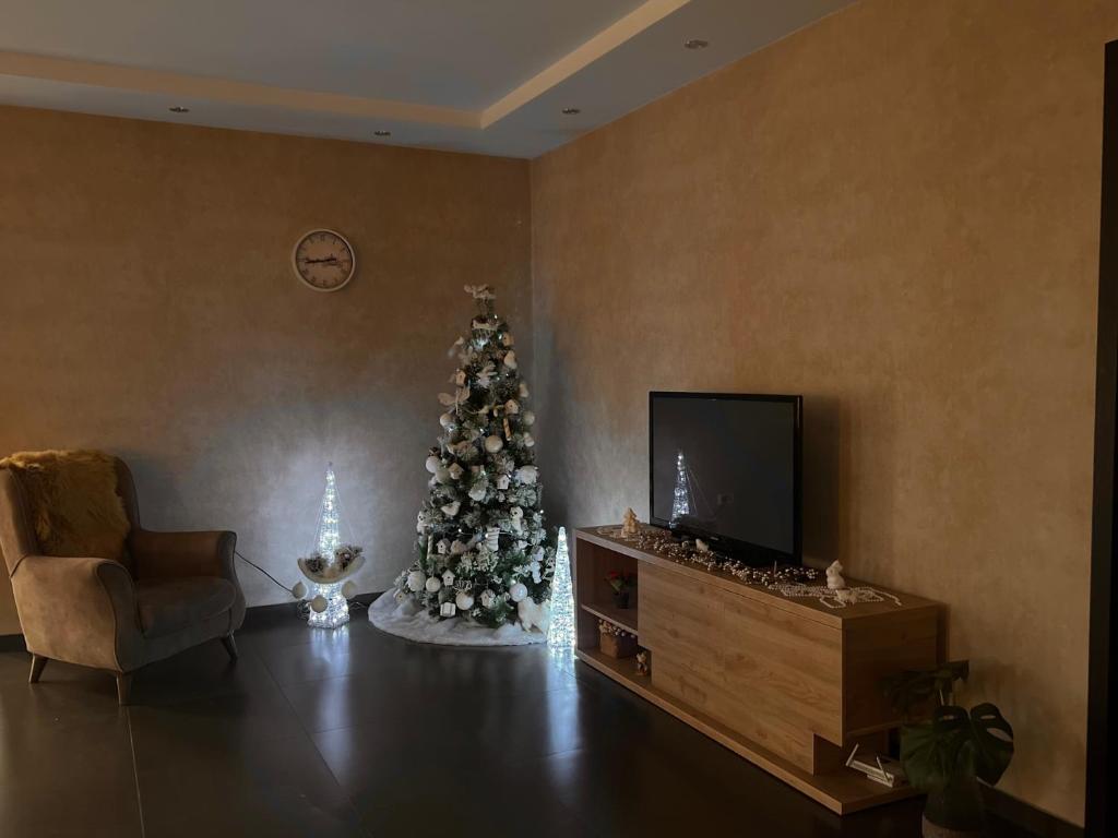 un soggiorno con albero di Natale e TV di Hotel Magnati Bakuriani a Bakuriani