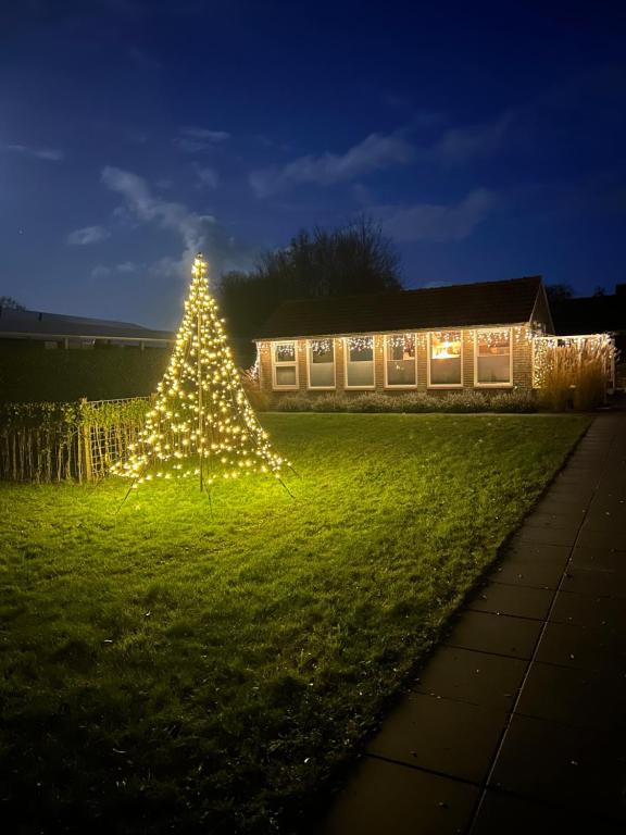 Un albero di Natale in un giardino con luci di 't Hok a Hollum