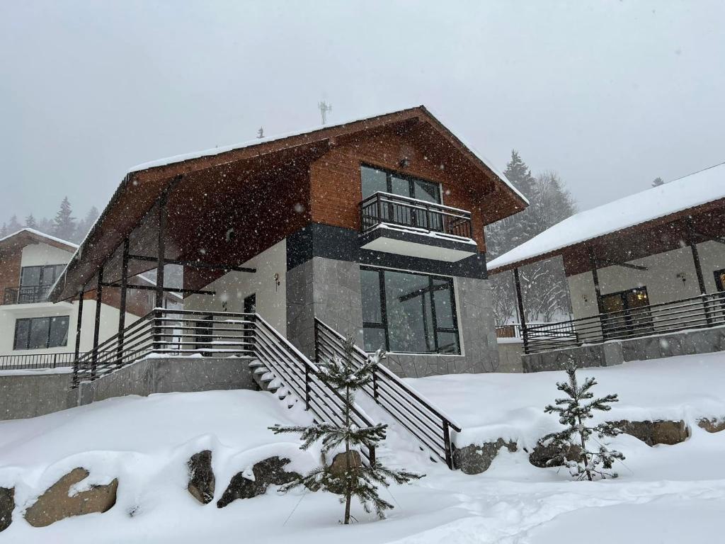 バクリアニにあるMountain View Luxury Villaの雪の家