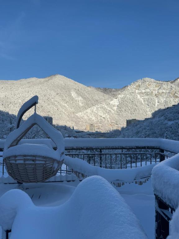 una cesta de mimbre cubierta de nieve en un techo en Hotel Borjomi Verde, en Borjomi