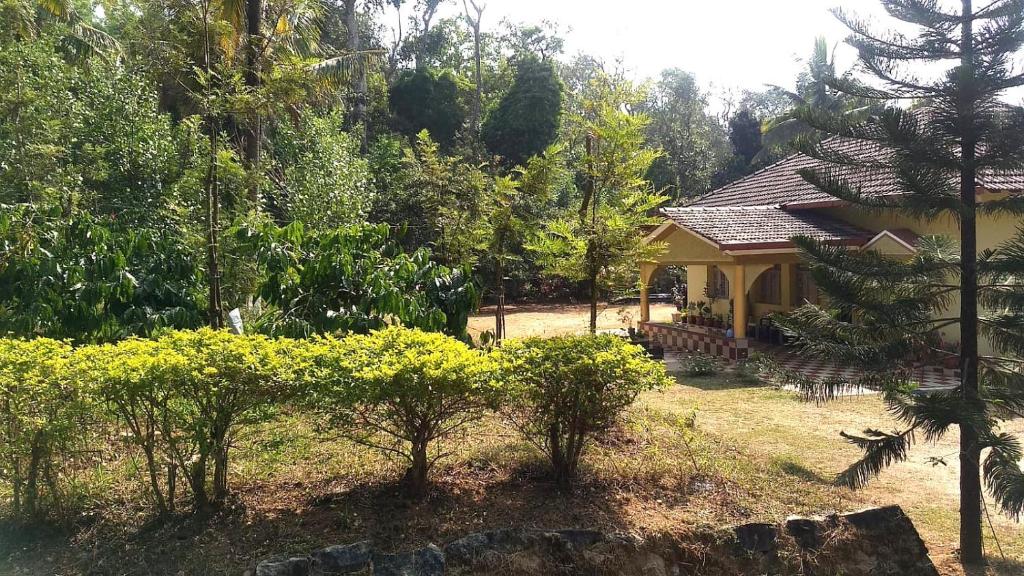 a yellow house in the middle of a forest at Malnad Bliss in Sringeri