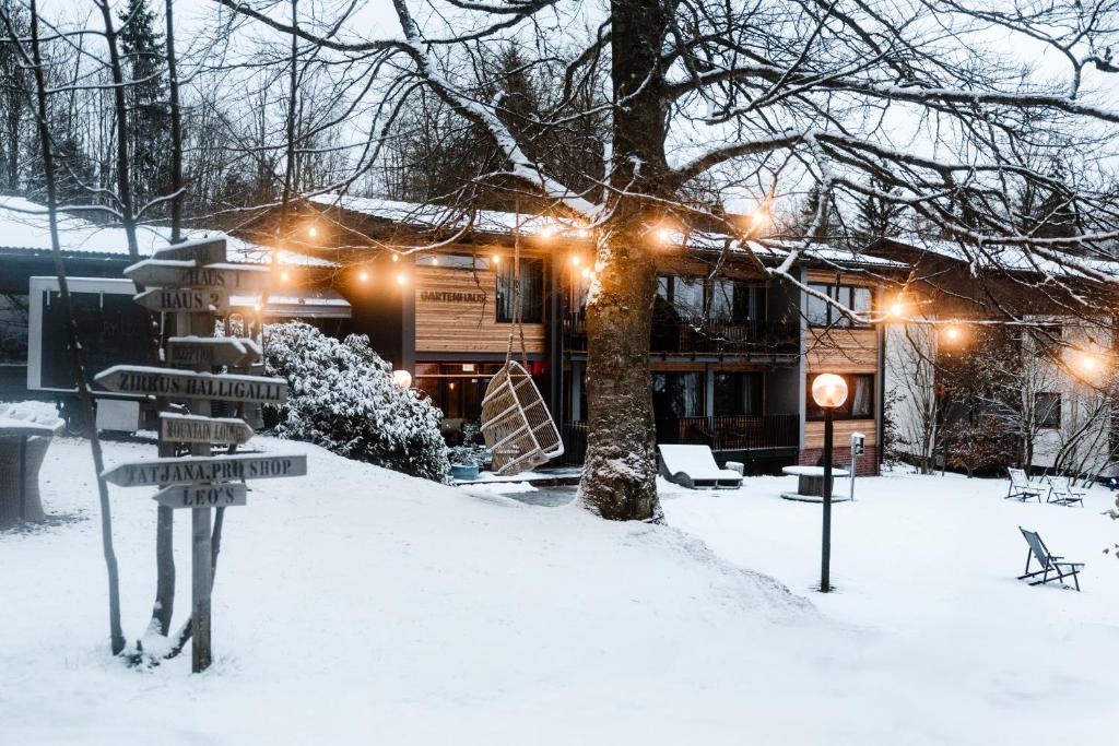 un patio cubierto de nieve con una casa con luces en THE HEARTS HOTEL - dein Boutique- und Event-Resort, en Braunlage