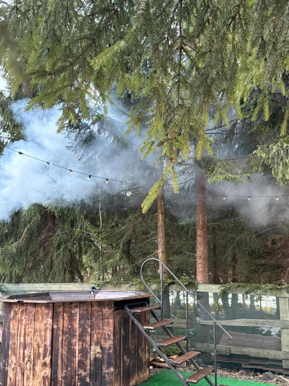 Bukovel'deki Imperial Hotel tesisine ait fotoğraf galerisinden bir görsel