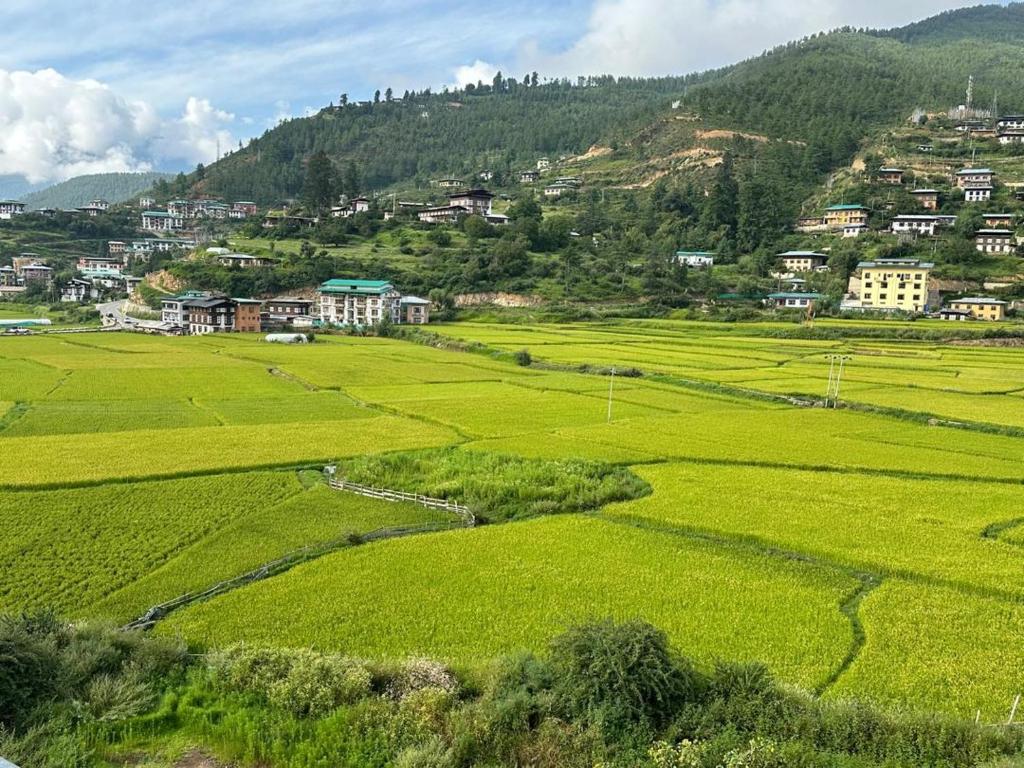 uitzicht op een groen veld met huizen op een heuvel bij Green valley boutique in Paro