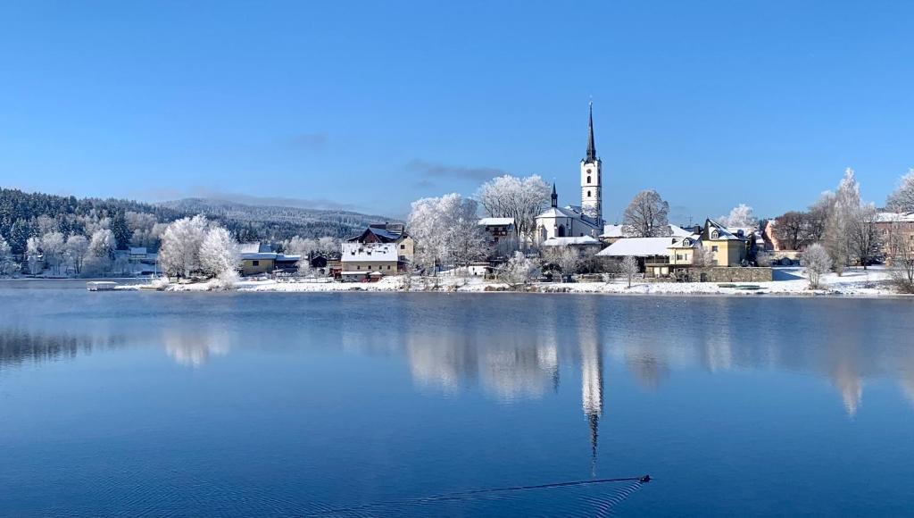 フリンブルクにあるWellness & Spa Apartments Lipno - Frymburkの町と教会のある湖の景色