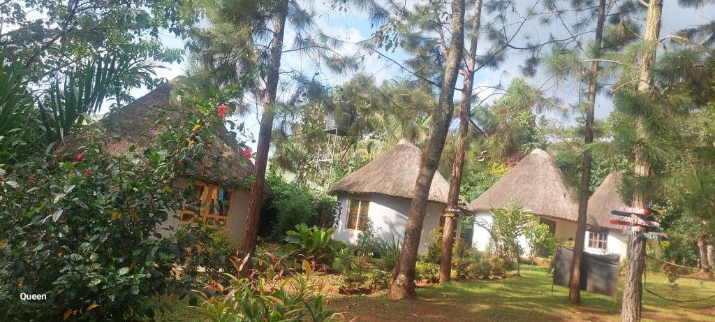 Vrt ispred objekta BN Private Beach & Resort - Jinja