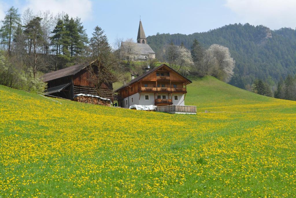 a house on a hill with a field of flowers at Fallerhof in Villnoss