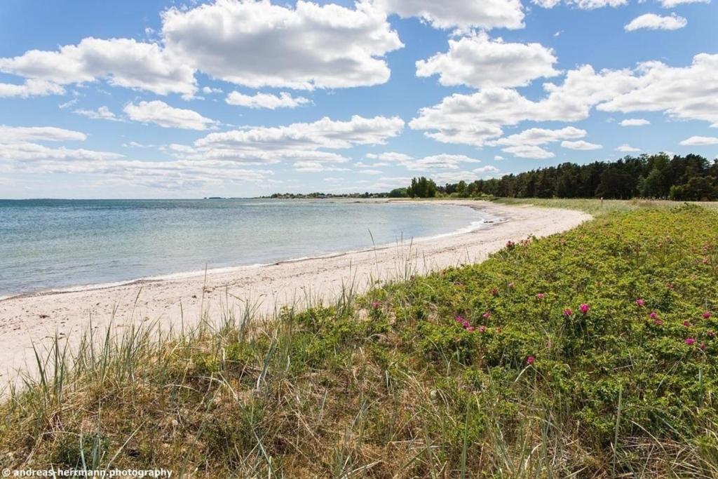 - une vue sur la plage fleurie et l'océan dans l'établissement Großes Ferienhaus auf Gotland 700 Meter zum Meer, à Ljugarn