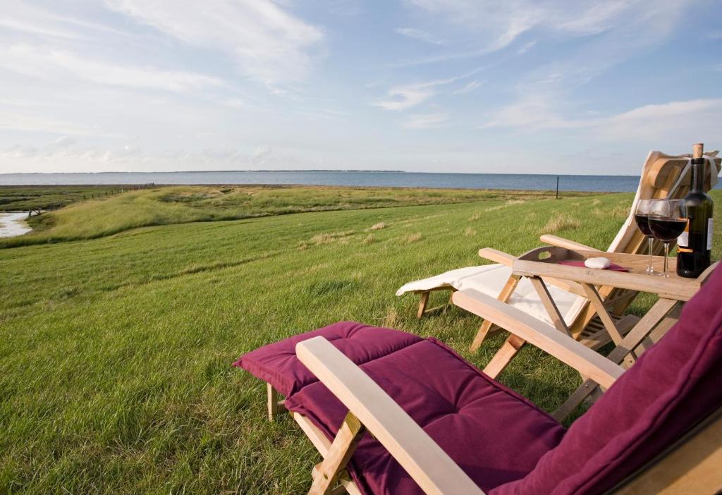 un tavolo da picnic e 2 sedie in un campo di Anker's Hörn - Hotel & Restaurant auf der Hallig Langeness a Langeness