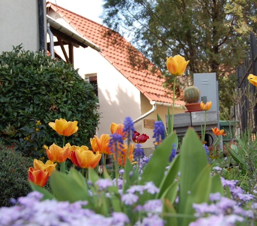 un giardino con fiori colorati di fronte a una casa di Maya Guesthouse a Eger